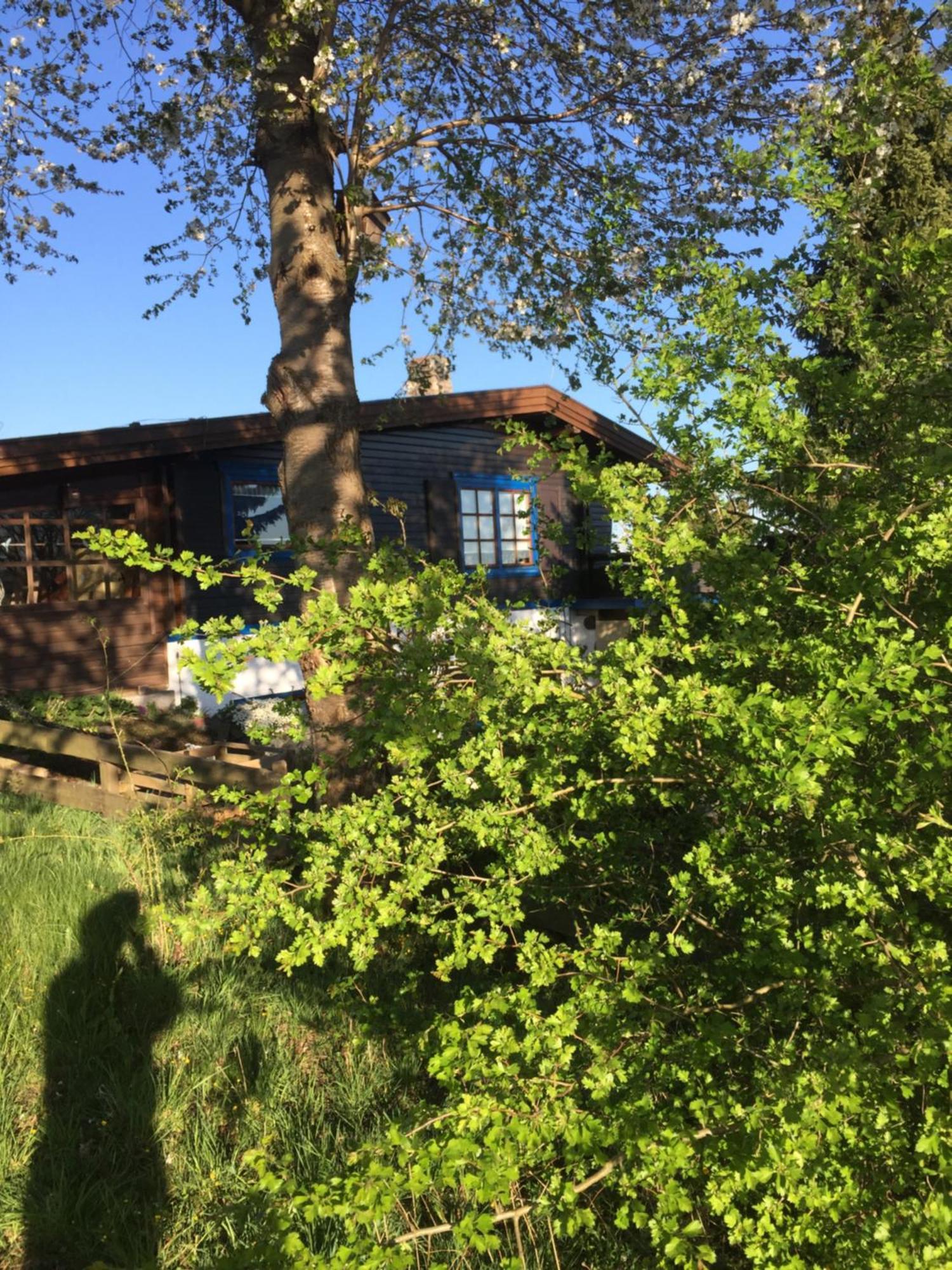Natur Pur Mit Fernblick Fuer Wanderfreunde Bad Sachsa Exterior foto